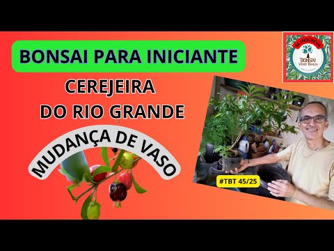 #COMO INICIAR UM BONSAI?   #PauloBonsai​​​​​​​​​​​😉😍