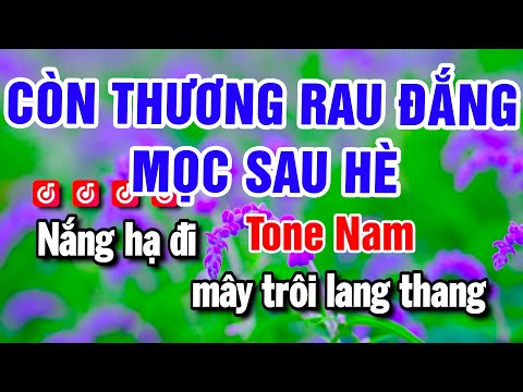 Karaoke Còn Thương Rau Đắng Mọc Sau Hè – Nhạc Sống Tone Nam