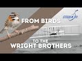 Early Aviation and Flight Innovations