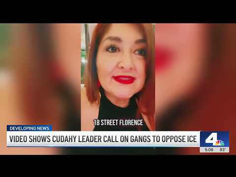 Demand for Cudahy Vice Mayor Cynthia Gonzalez's resignation grows