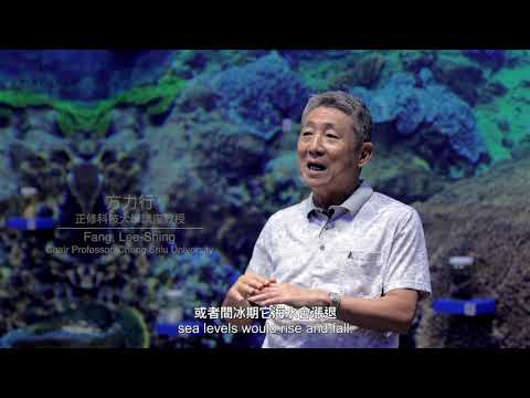 【逐岸導讀】珊瑚海岸 鵝鑾鼻半島的珊瑚生命更迭 ｜導讀人 方力行 教授 - YouTube