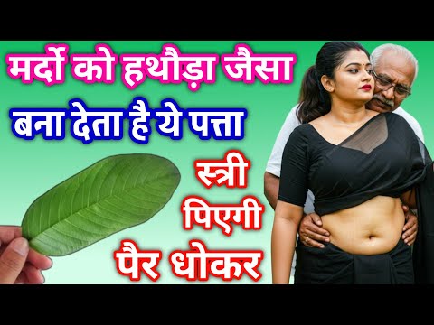 मर्द को फौलादी पावर देता है ये पत्ता, रात मे राक्षस बना देता है ||Health & Vastu Tips Guava benefits