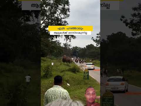 perdió la vida muy trágicamente #parati #viral #tragedia #noticias