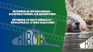 Videowettbewerb/Soutěž 2025: Projekt BIBOB