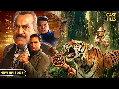 क्या CID करेगी शेर का शिकार | CID New Episode 2024 | Abhijeet | Daya