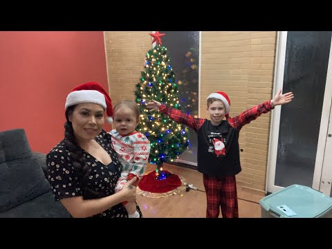 VLOG: Dia de decorar nossa árvore de natal 🎄 #ELENICECARNEIRO #@elenicecarneirooficial