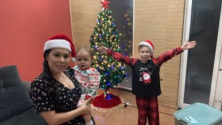 VLOG: Dia de decorar nossa árvore de natal 🎄 #ELENICECARNEIRO #@elenicecarneirooficial