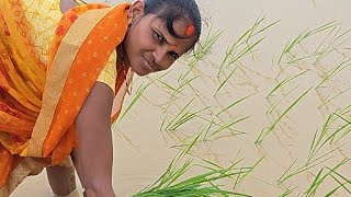Sanjay dey