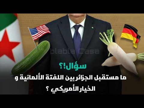 هل خانت الجزائر بنبطوش؟! حوار مع عقلاء العالم الاخر