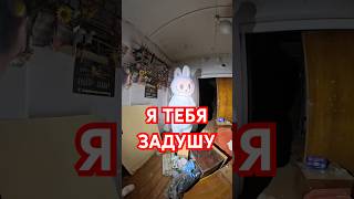 Лабубу не хочет играть