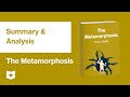 Gregor Samsa's Transformation and Its Implications