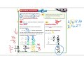 Fraction Operations and Concepts