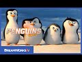 Exploring the First Moments of Penguins of Madagascar