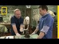 Bone Fractures and Healing Insights