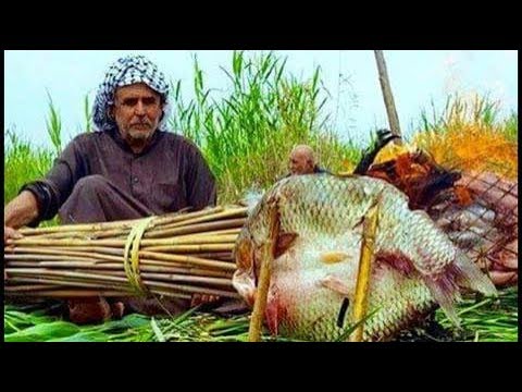 ليش اهل العمارة ما يغسلون السمج قبل الشواء تعال شوف راح تنصدم /محمد الدرويش