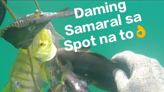 Daming samaral sa spot na to, saglit lang meron na tayong pang ulam