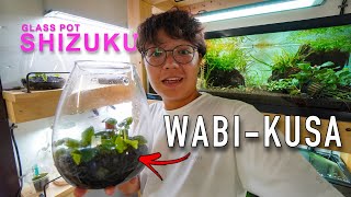 What is Wabi Kusa?! Working in the Fish Room