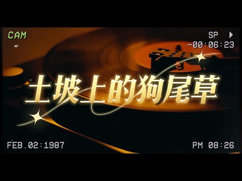 盧潤澤《土坡上的狗尾草》『土坡上狗尾巴草搖啊搖得人眼淚掉 你那頭月亮照不照得到』【自製MV】