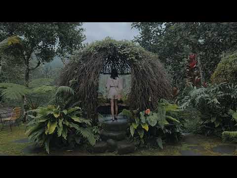 chero - Umbrella (Official Music Video)