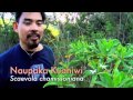 Hawaiian Culture and Environmental Issues