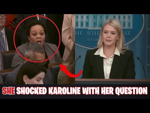 “Disingenuous” Reporter WHITEWASHES Sinister Atrocities straight to Karoline Leavitt’s Face