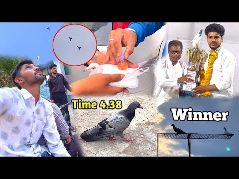 Kabootar Bazi Aur Tournament Ki Aisi Video Aapne Kabhi Nahi Dekhi Hogi 🔥|| Last Tak Jarur Dekhna😳