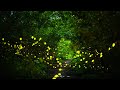 Understanding Fireflies