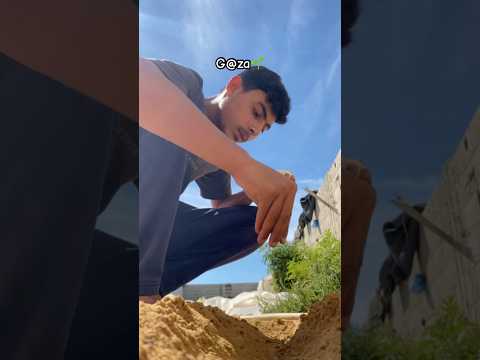 Even in Eid… we plant hope again 🌱🤍Donation link in bio. #gaza #shere #food #shorts #donate
