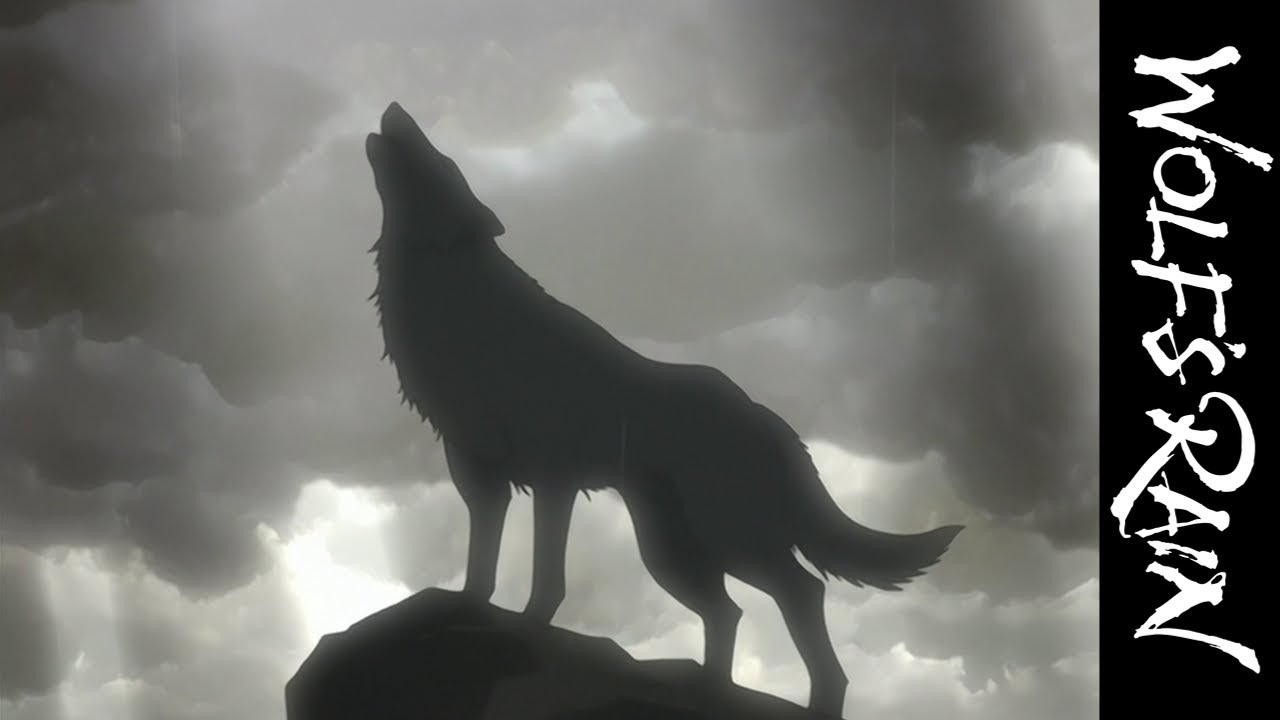 WOLF'S RAIN Anonso santrauka