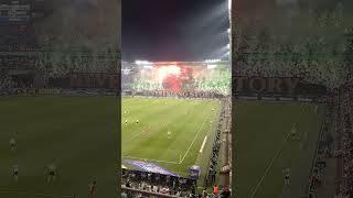 Jedna z opraw kibiców Legii na meczu z Widzewem #shorts #shortsvideo #sport #ultras