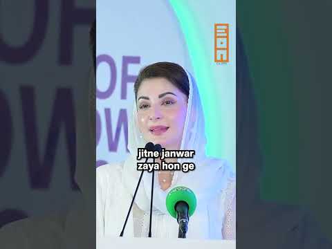 Floods Another Photo-Op for Maryam Nawaz?