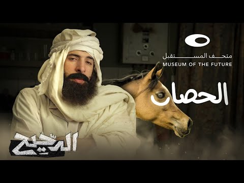 الدحيح | الحصان