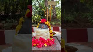 Abhigya Anand's visit to Sri Sri Gurukulam