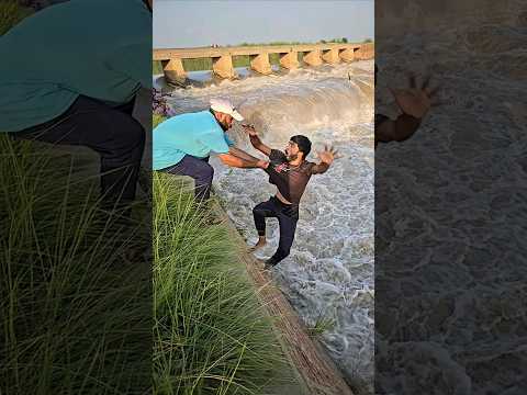 mari Zindagi 🥰 #shorts #short #trending #viral #shortvideo