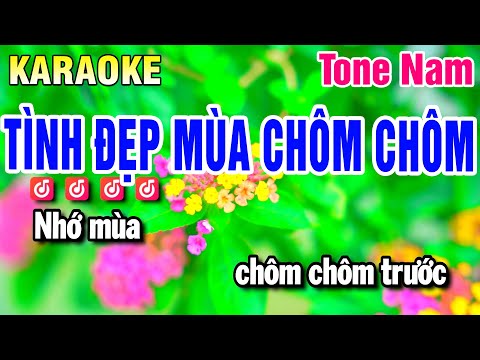 Karaoke Tình Đẹp Mùa Chôm Chôm Nhạc Sống Tone Nam | Huỳnh Anh