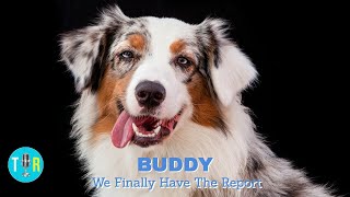 FINALLY! THE POLICE REPORT ON THE DOG FOUND SKINNED BEFORE IDAHO STUDENT MURDERS HAS BEEN RELEASED