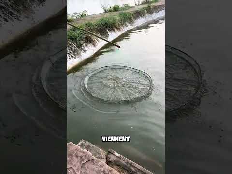 Le défi de pêche au canard mort se termine par une grosse surprise !