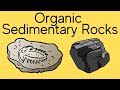 Exploring Organic Sedimentary Rocks