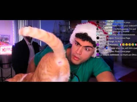 chRIZZmas tree + Fortnite chill