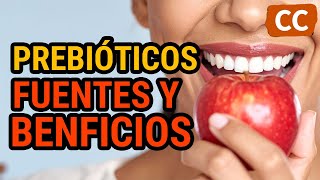 ¿Qué son los PREBIÓTICOS? FUENTES y BENEFICIOS