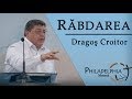 Dragos Croitor - Rabdarea