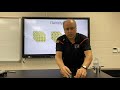 Understanding Mass and Density Concepts
