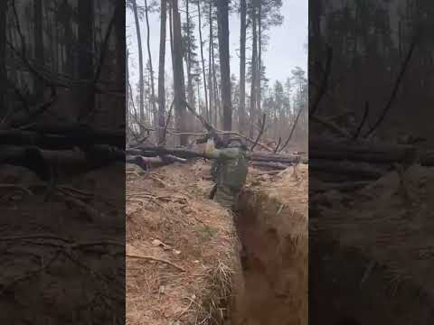 #shortsРусский