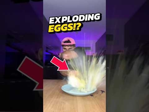 If You Cook Raw Eggs in the Microwave, RUN IMMEDIATELY! 😨