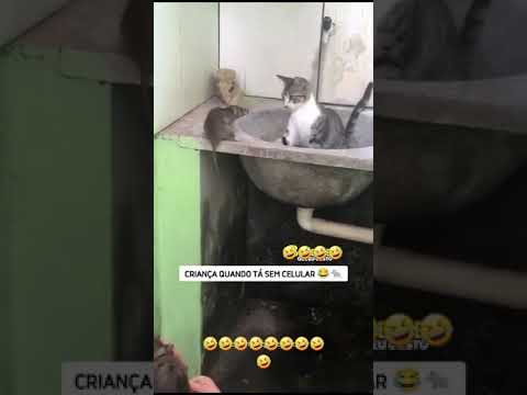23 de setembro de 2024