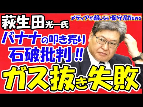 【萩生田光一氏】バナナの叩き売りと石破政権を批判！！森山幹事長のガス抜き工作失敗！！旧安倍派会計責任者の参考人招致は石破首相の裏切り！！石破執行部への批判が拡大！！【メディアが報じない保守系News】