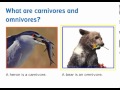 Adding and Subtracting Rational Expressions