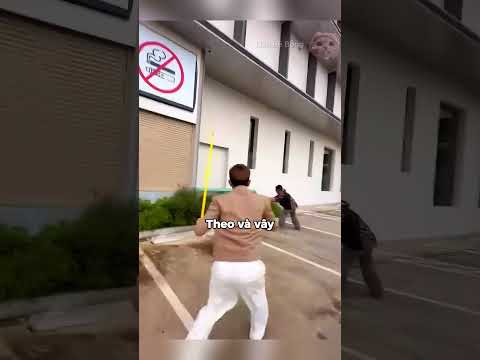 Điều Bất Ngờ Sau Lùm Cây ❗️#shorts