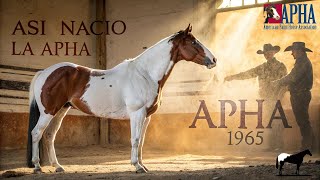¡Así Nació la APHA! Los Rechazados que Fundaron su Propia Asociación 🐴-Del Cerro Soy