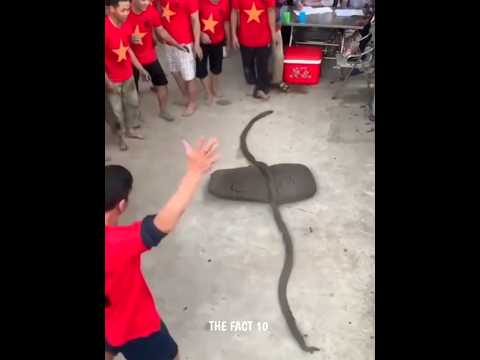 Vietnam's country đŽ games #thefact10 #shorts